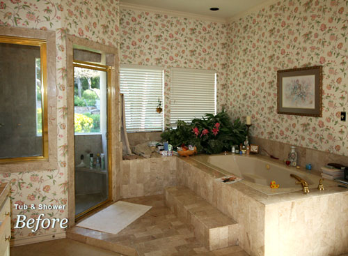 Tub-Shower-Before Tub-Shower